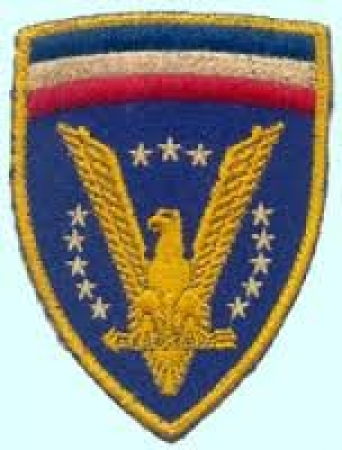 U.S. WW11 Seleeve Insignias